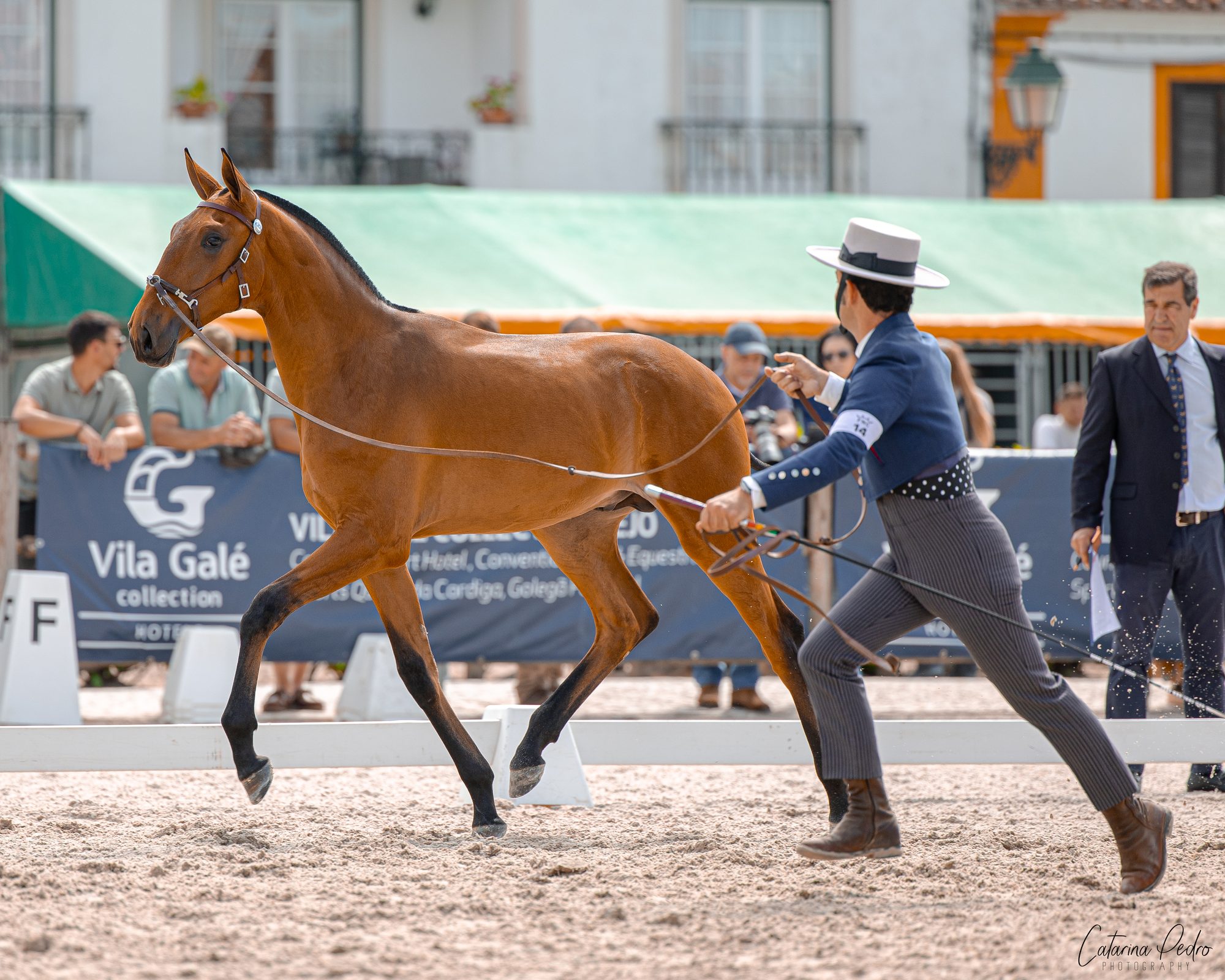 Vento JCL in movement