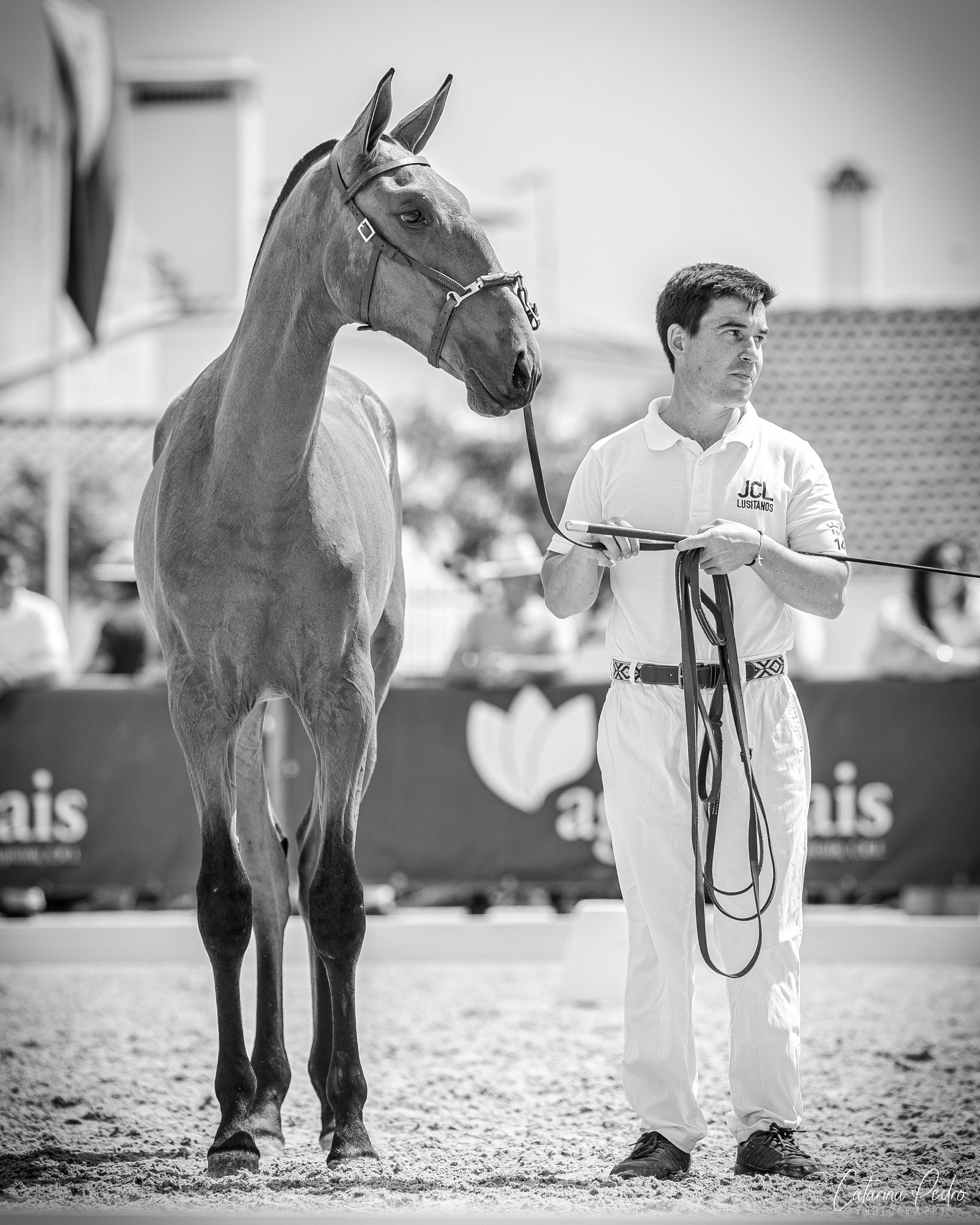 Vento JCL at presentation