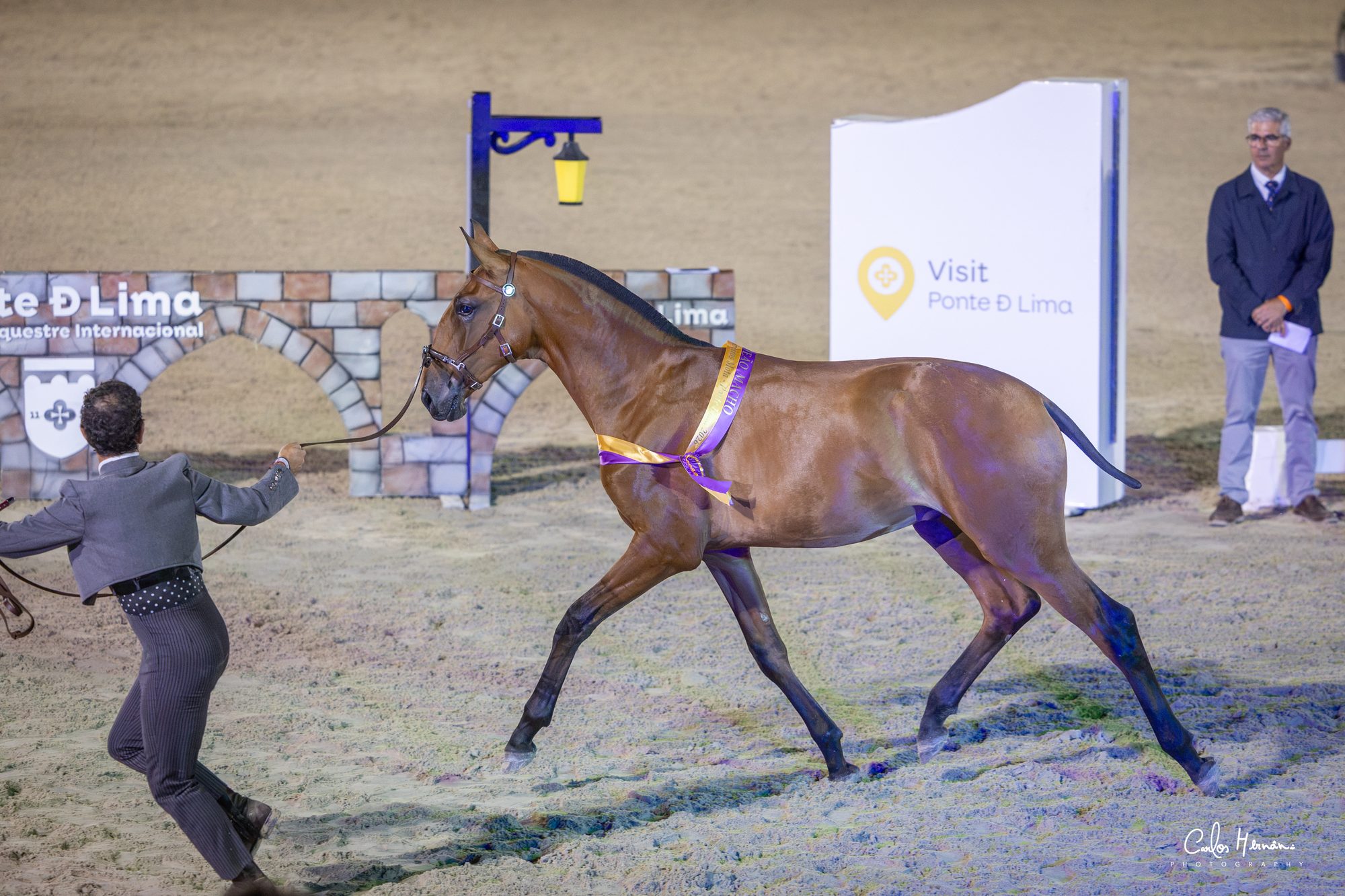 Vento JCL, Champion of Champions at Feira do Cavalo de Ponte de Lima