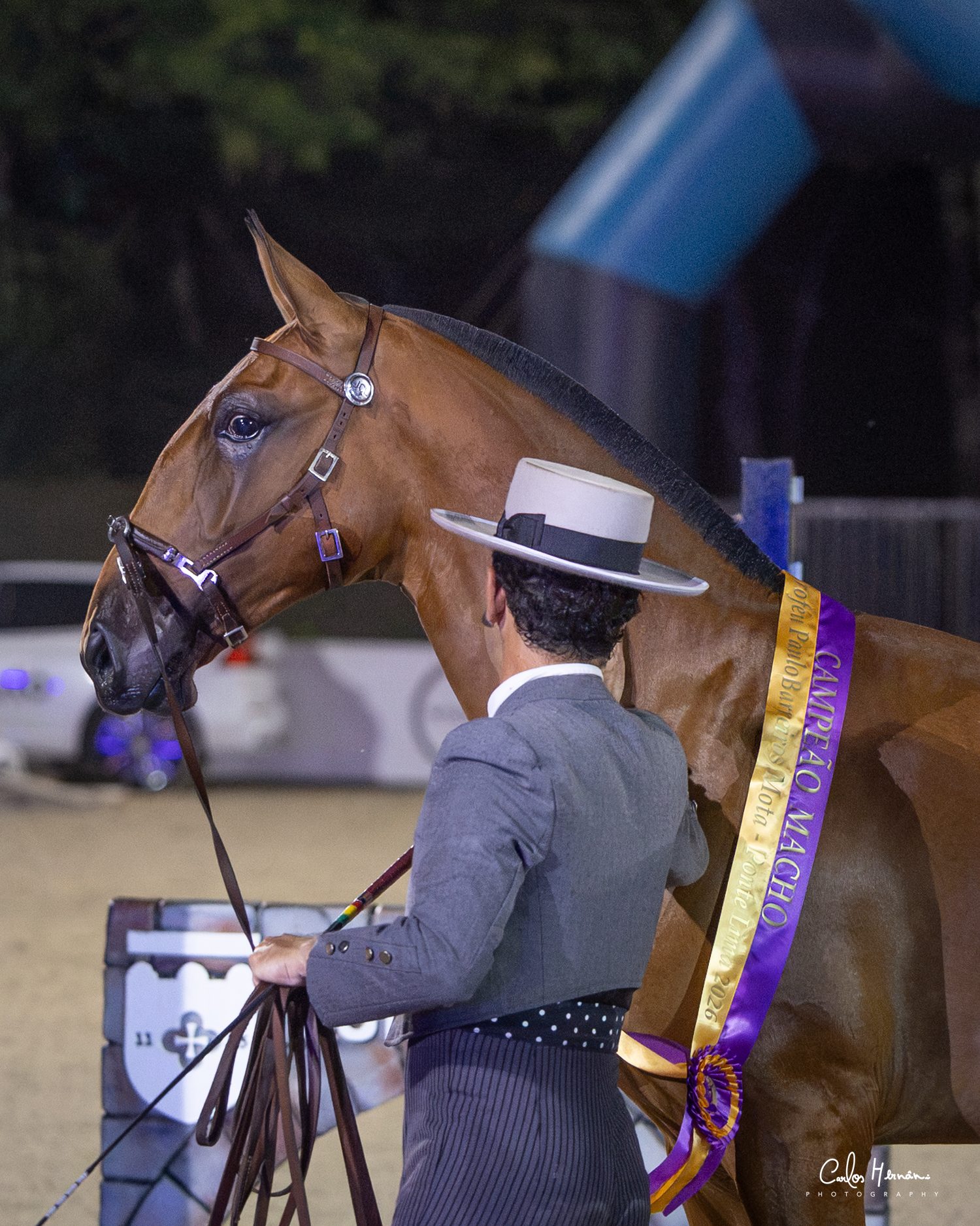 Vento JCL close-up with Champion of Champions sash